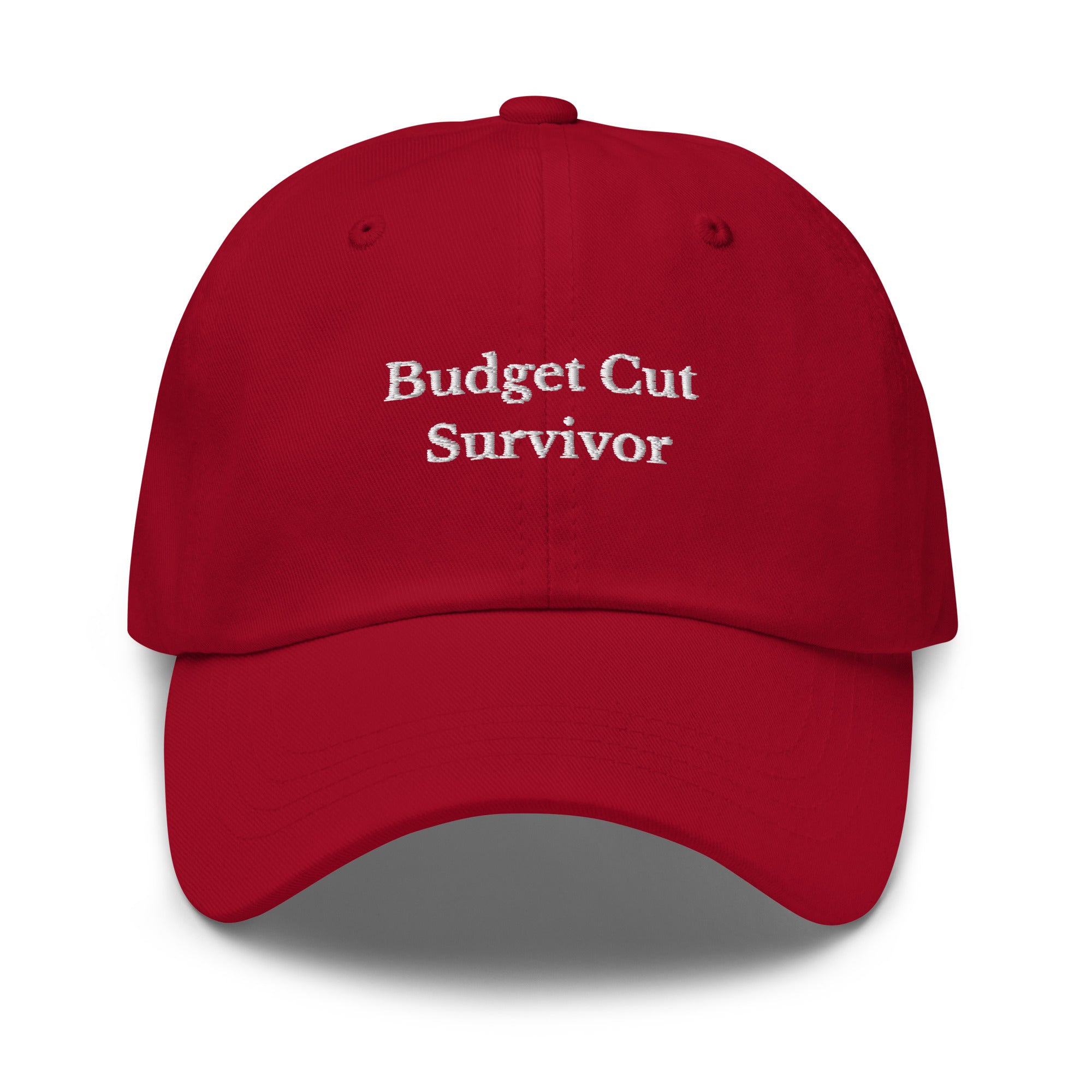 Budget Cut Survivor Cap - insiderclo