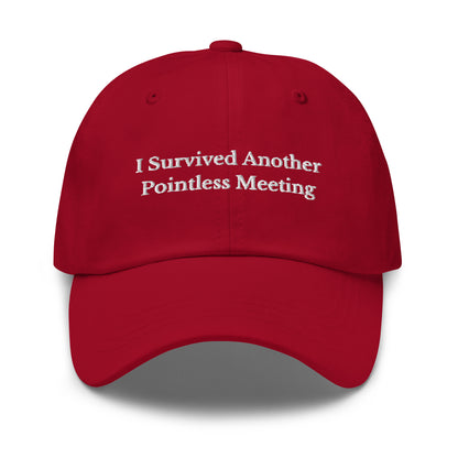 Survived Pointless Meeting Cap - insiderclo