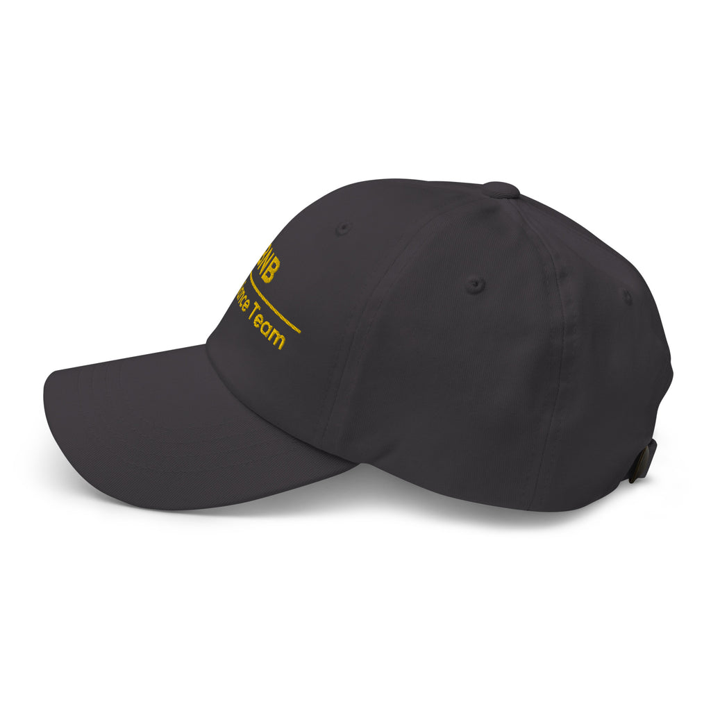 BNB Compliance Team Cap - insiderclo