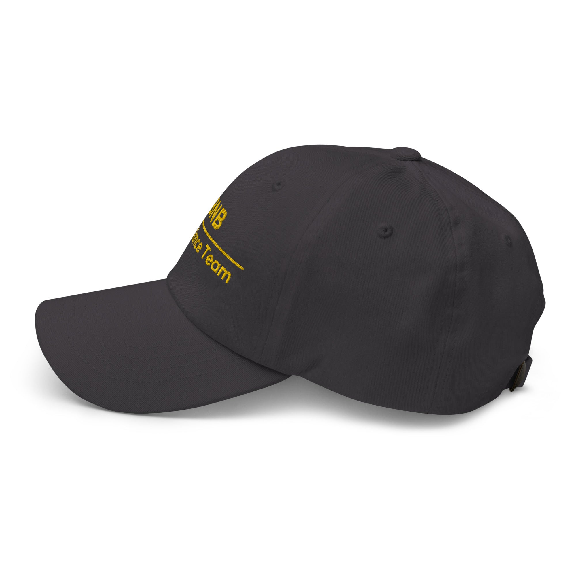 BNB Compliance Team Cap - insiderclo