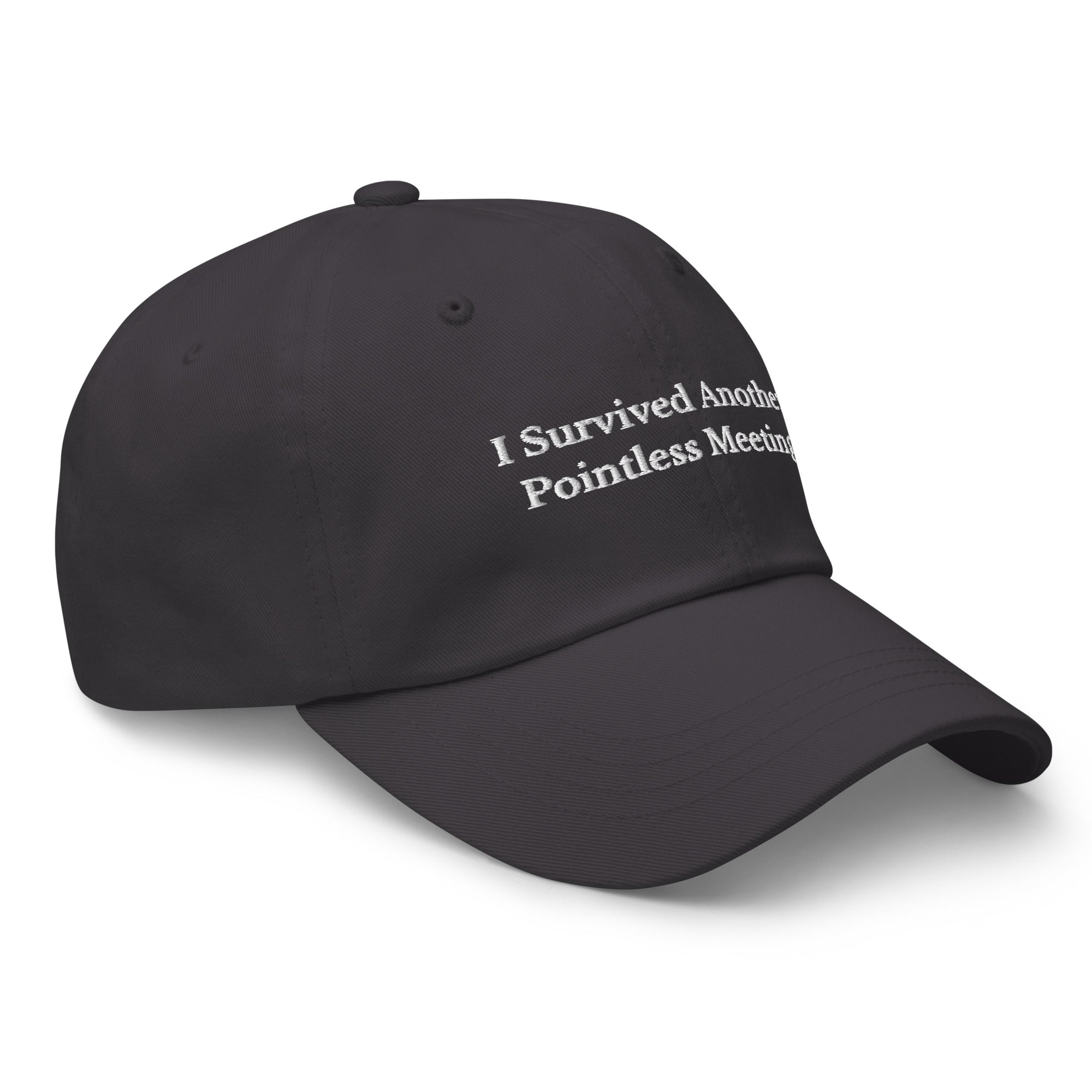 Survived Pointless Meeting Cap - insiderclo