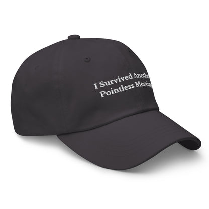 Survived Pointless Meeting Cap - insiderclo