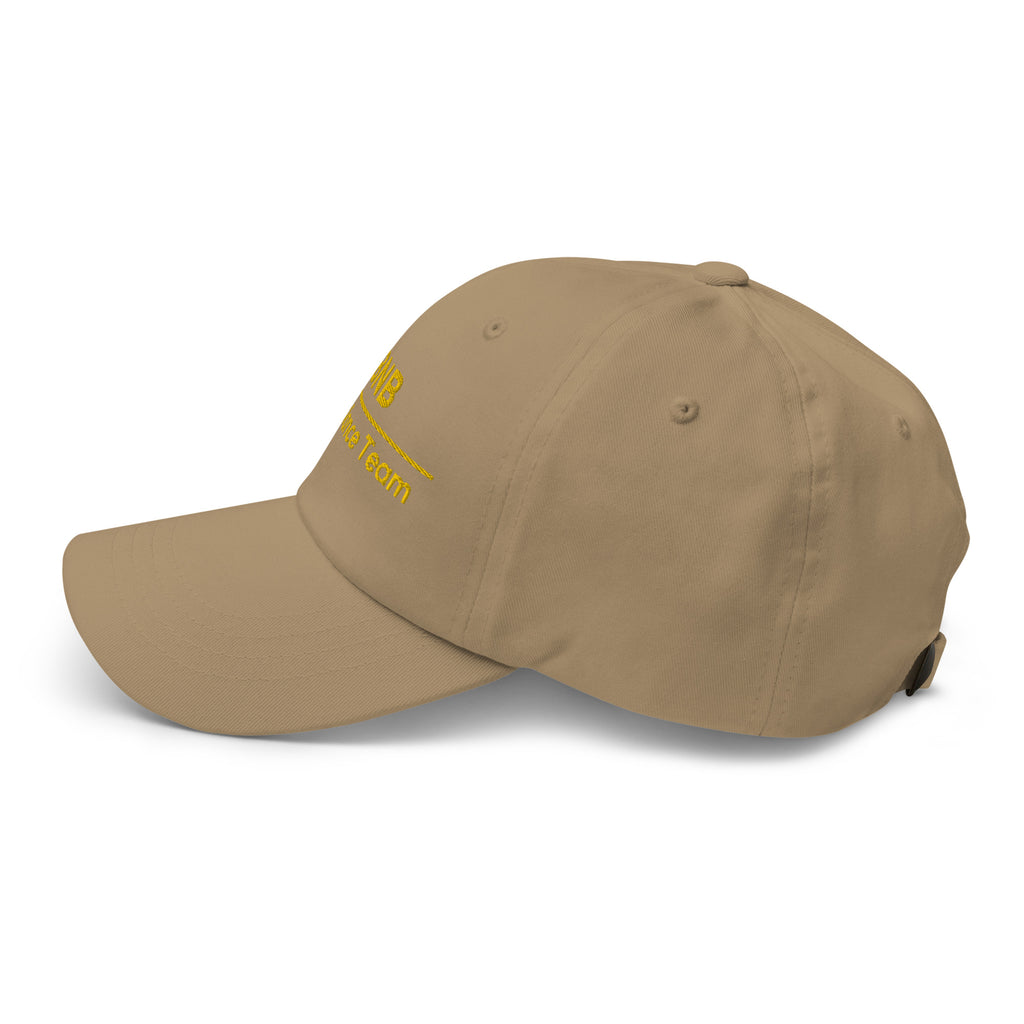 BNB Compliance Team Cap - insiderclo