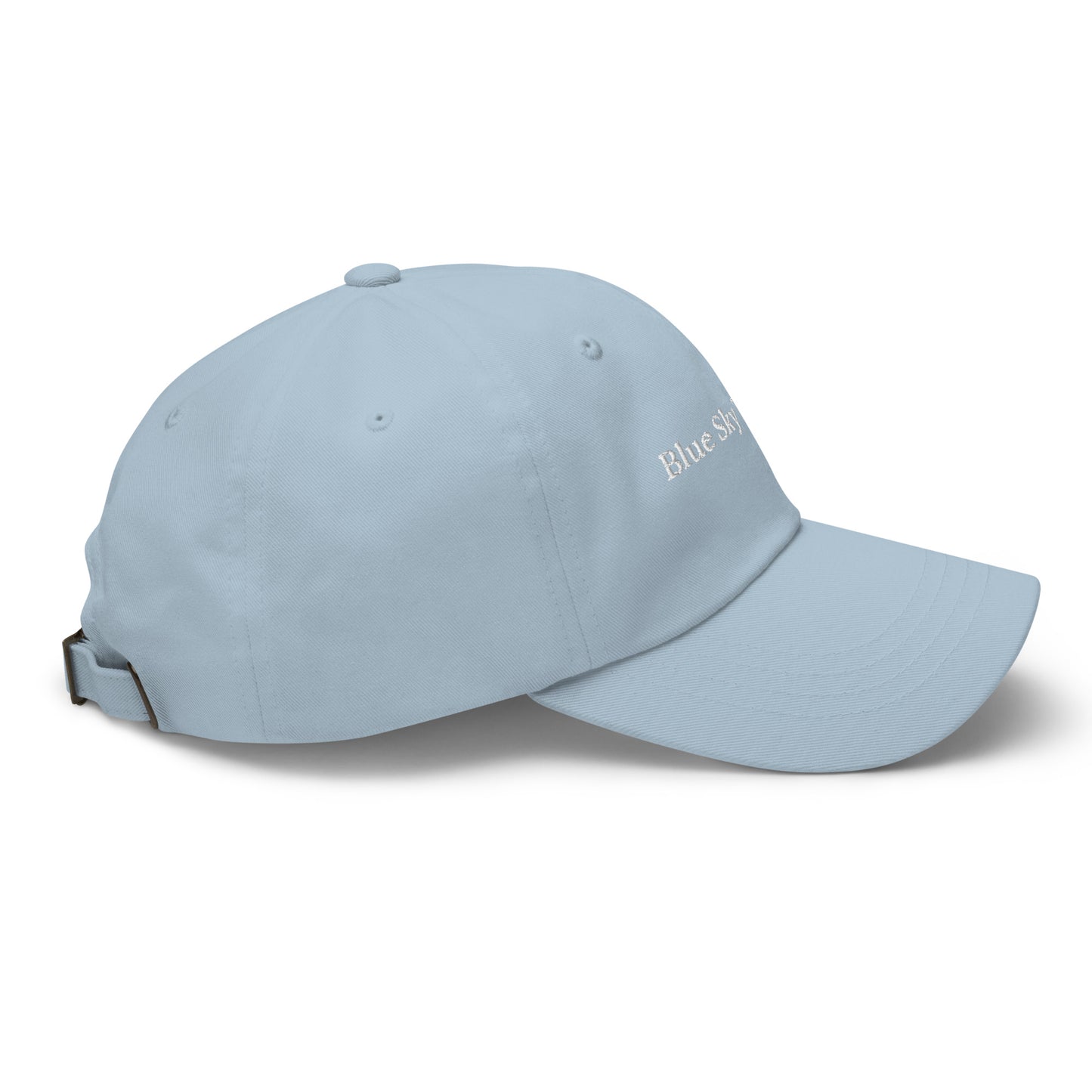 Blue Sky Thinker Cap