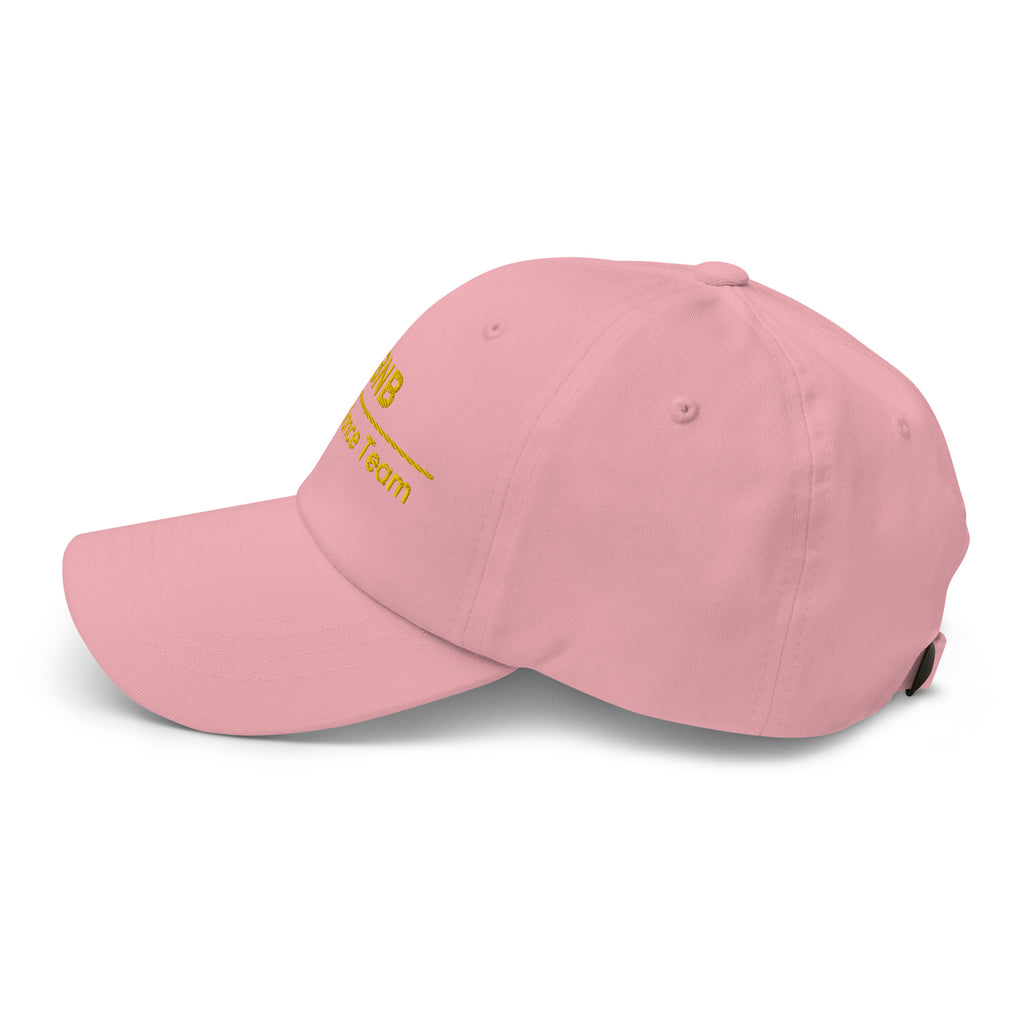 BNB Compliance Team Cap - insiderclo