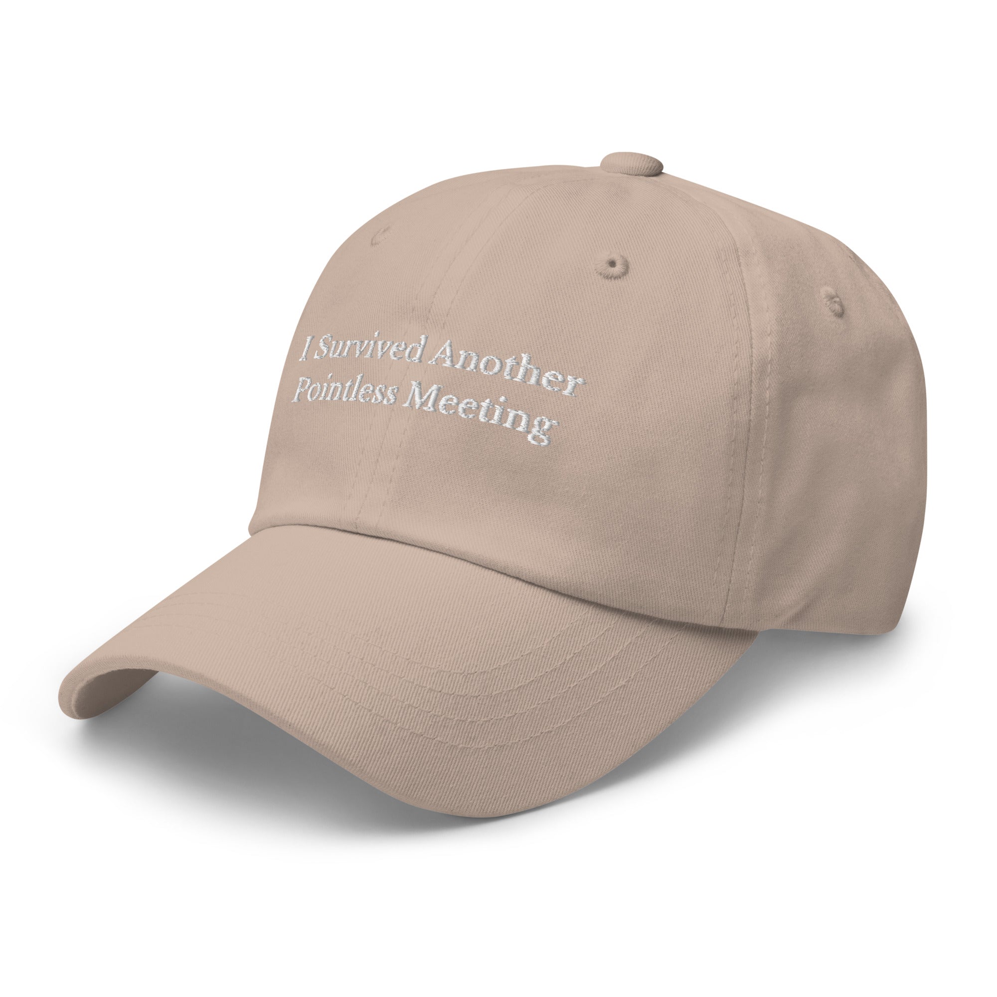 Survived Pointless Meeting Cap - insiderclo
