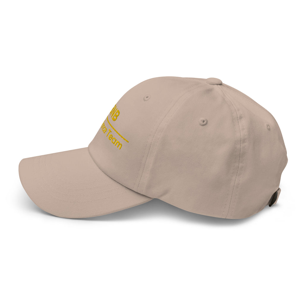 BNB Compliance Team Cap - insiderclo
