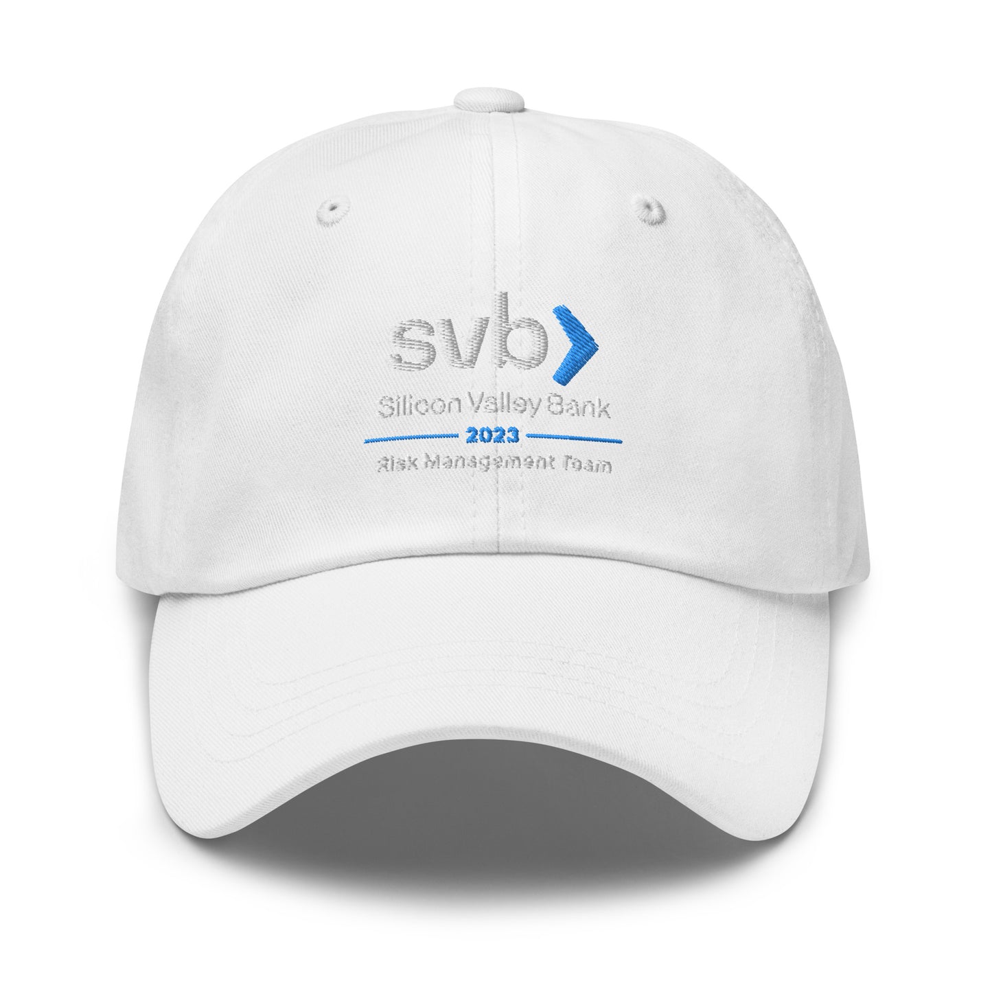 SVB Risk Cap