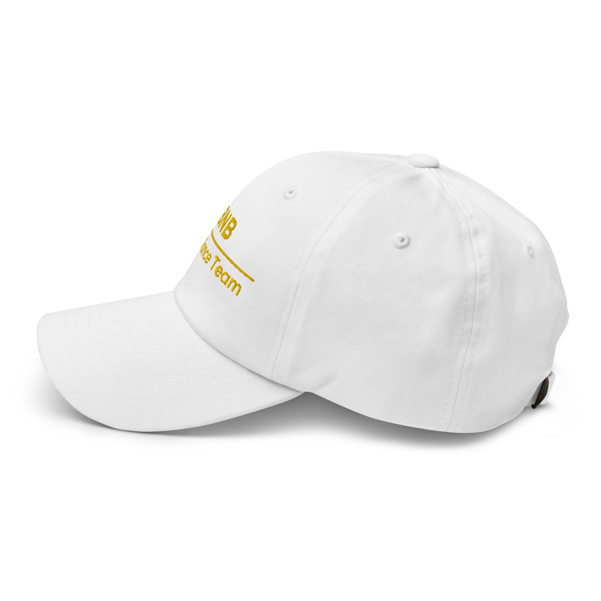 BNB Compliance Team Cap - insiderclo