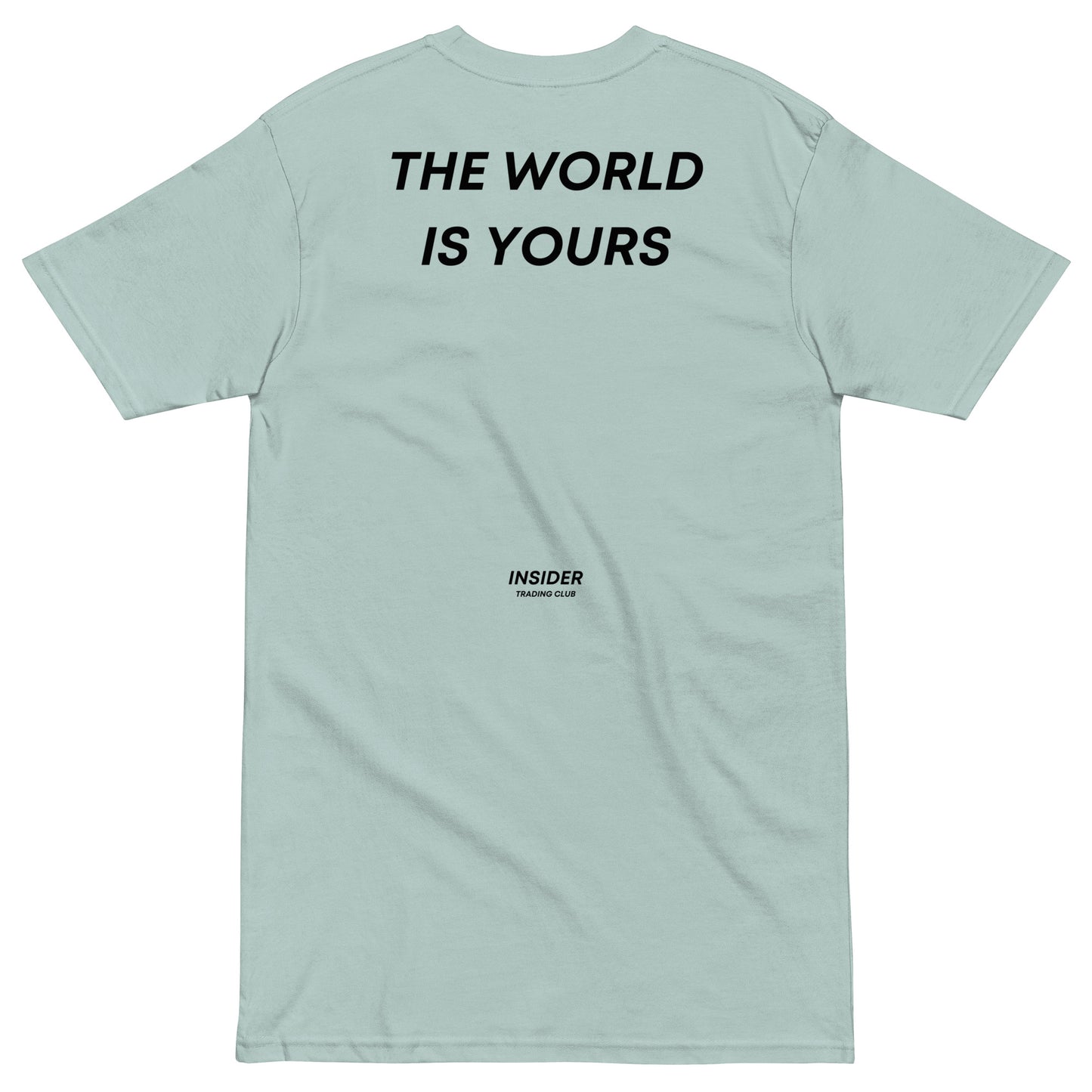 The World Is Yours T-shirt