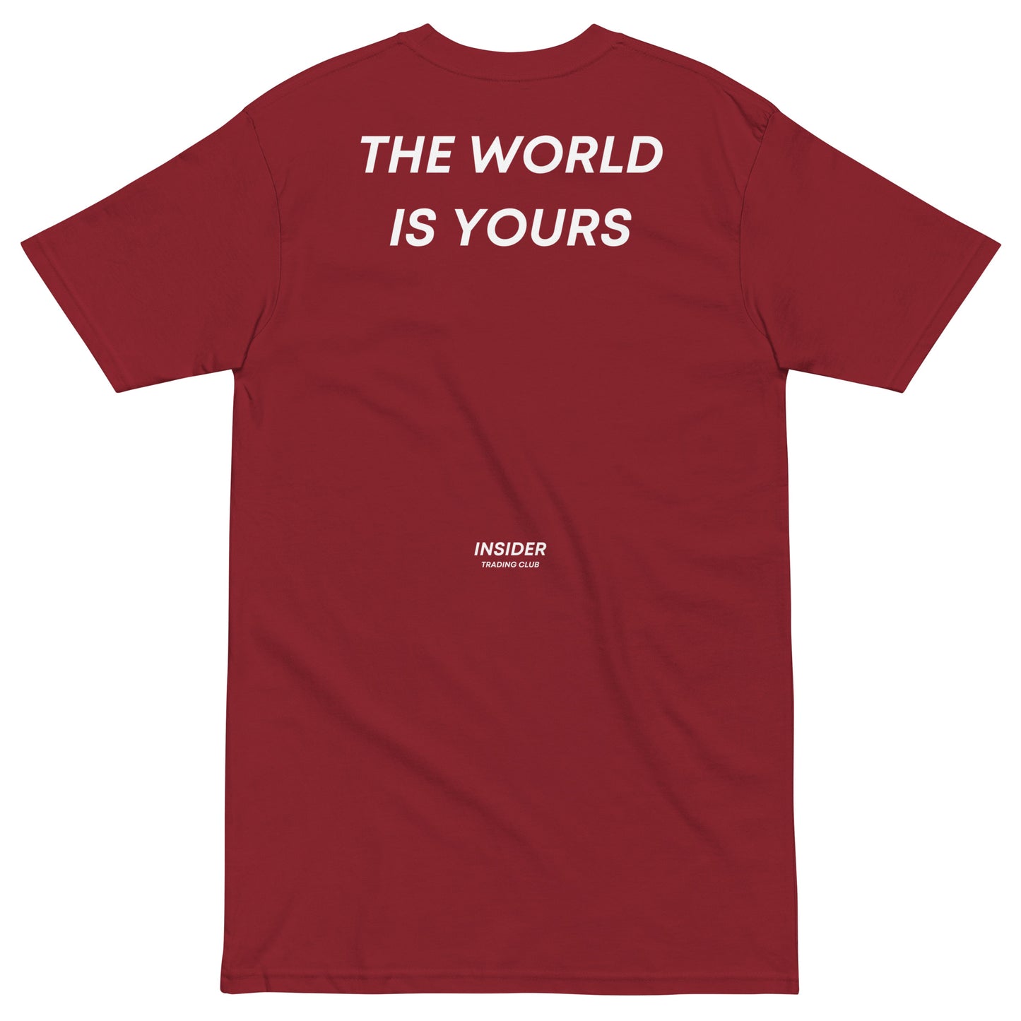 The World Is Yours T-shirt